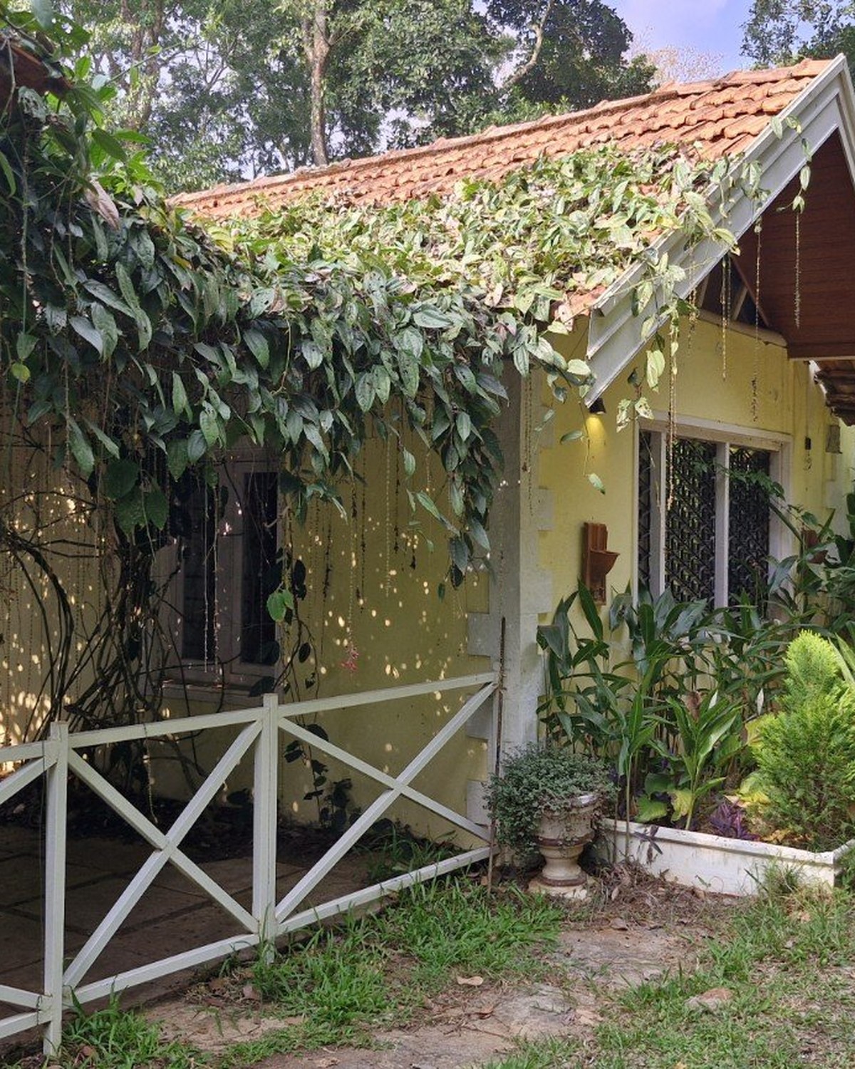 Exterior view of Grace Backwater Villa nestled in greenery