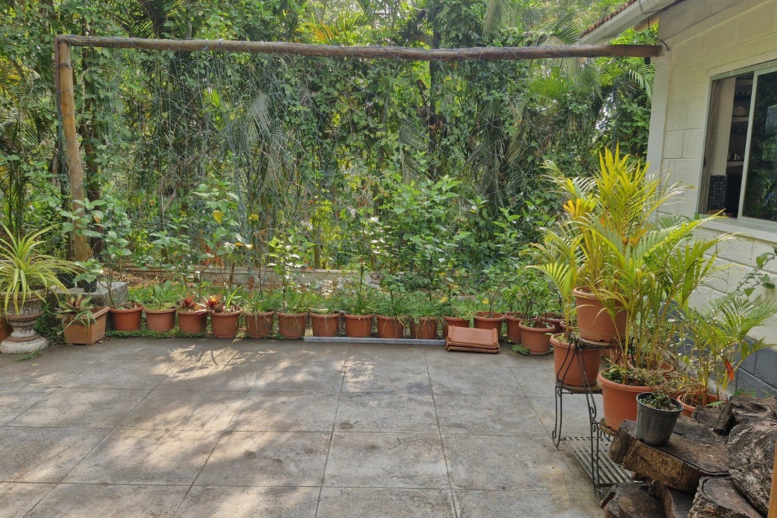 Lush private garden at the villa