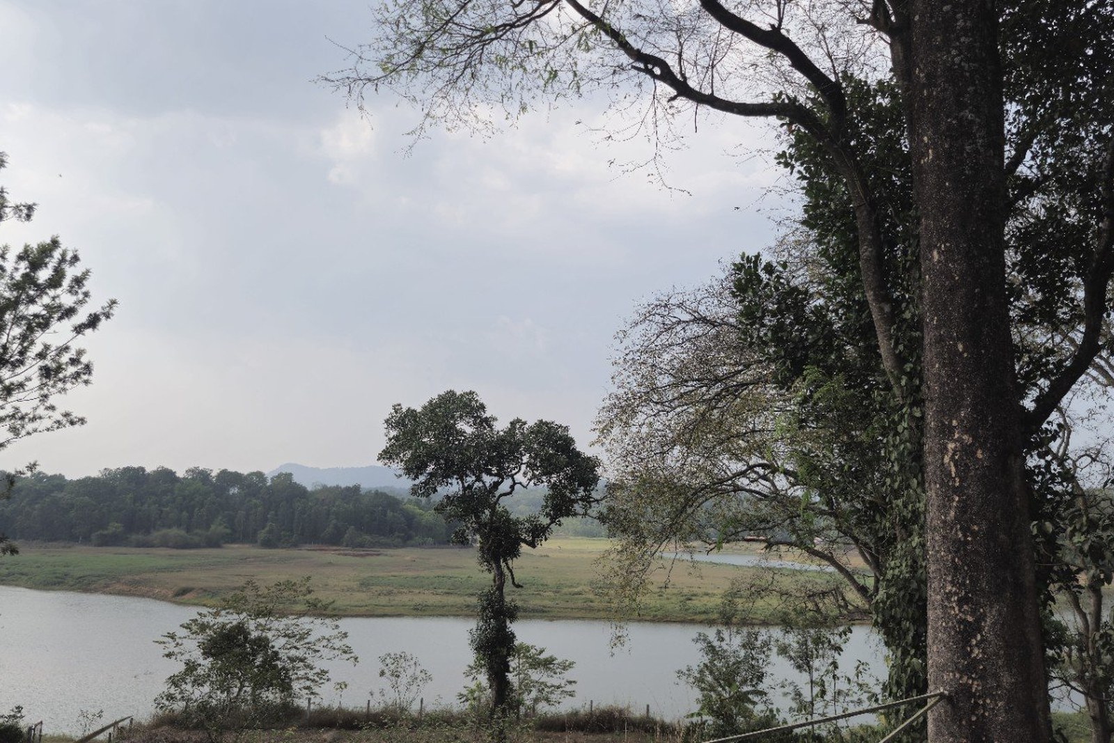 Calm backwaters near Grace Backwater Villa, Coorg